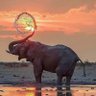 Esmond Duhamel's profile picture