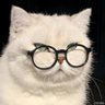 Profilbild von Oliver Brown