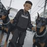 StillfangHQ's profile picture