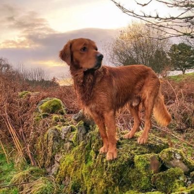 BARRA72's profile picture