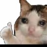 Profilbild von Sok Ro