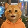kevvu's profile picture