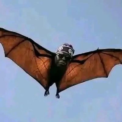 Nwa_Okonkwo 🥏's profile picture