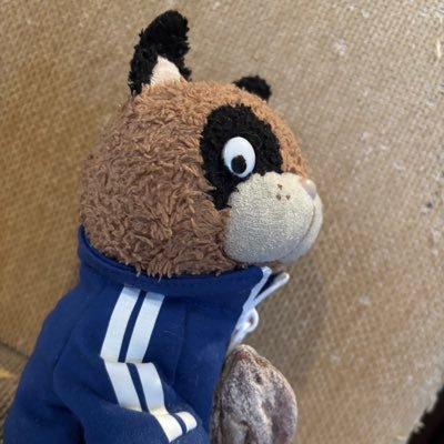 kuni5084's profile picture