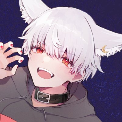 常夜灯🌙🐶メイン垢's profile picture