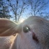 Whiskey_Tango_Foxtrot's profile picture