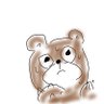ぬっ's profile picture
