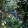 Фото профиля Gardening, etcetera.