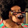 scoobydão sincero profil fotoğrafı