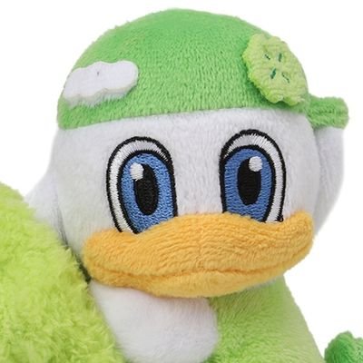 꿍🍀's profile picture