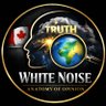 Profilbild von White Noise: Anatomy of Opinion