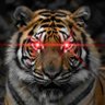 빅토리⚡️₿IGTORI profil fotoğrafı