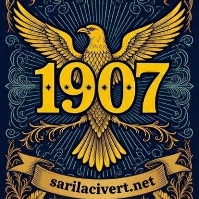 SariLacivertTC's profile picture