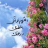 فتون🇸🇦. 的头像
