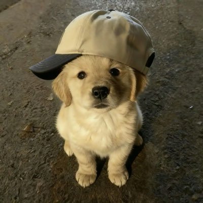 DarkX7's profile picture