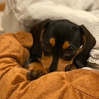 ˙ɯ's profile picture