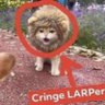 larped's profile picture