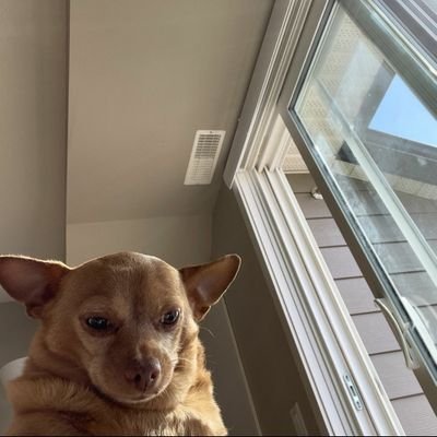 kingLevi64's profile picture