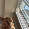 king 🤴 Levi's profile picture