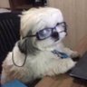 Вигорівша екс-менеджерка 🇺🇦's profile picture