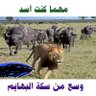 Ebn Ragb's profile picture