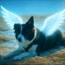Seba VJ profil fotoğrafı