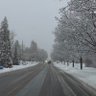 Фото профиля Mahroo