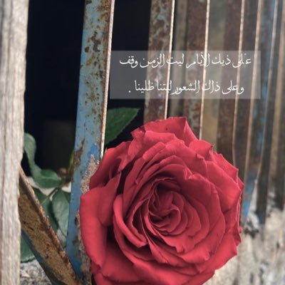 ⒽⒹⒺⒺⓁ 🎶💞's profile picture