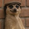 Tomiwa's profile picture