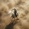 Profilbild von sabbah
