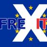 Tily 🇲🇫 的头像