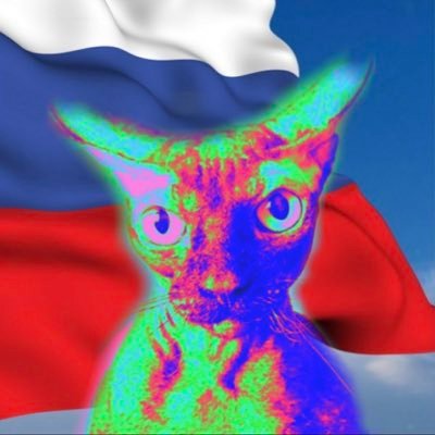 Рядовая единица Z's profile picture