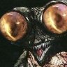 RaggedFly's profile picture