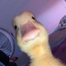 Profilbild von Spritz
