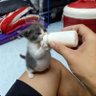 BBBz 的头像