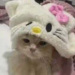 amirami_i's profile picture