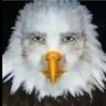 house of the rabbit 🇮🇲🇬🇧's profile picture