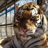arthUwUr's profile picture