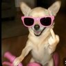 Profilbild von Fernanda