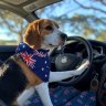 Wally's profile picture