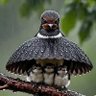 Matthew Stroud profil fotoğrafı