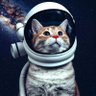 DA SHAN profil fotoğrafı