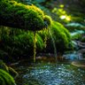 大道至简 profil fotoğrafı