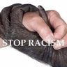 BiarMikirKlen's profile picture