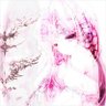 Фото профиля stᥲr ꕥ