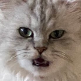 yurio_012's profile picture