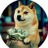 Фото профиля DogeDipHodler
