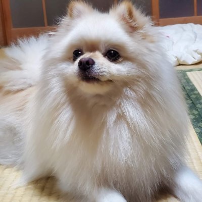 ponta_226's profile picture
