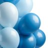 ballon 的头像