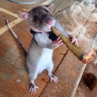 jason's profile picture